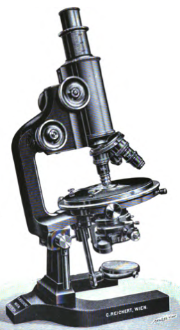 A picture containing silver
Description automatically generated