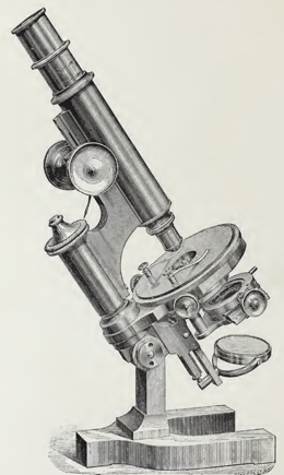 A picture containing gear
Description automatically generated