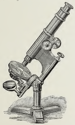 A picture containing text
Description automatically generated