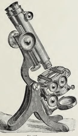 A picture containing gear
Description automatically generated
