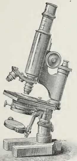 A picture containing old
Description automatically generated