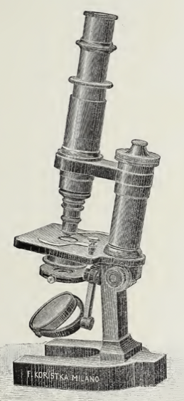 A picture containing indoor
Description automatically generated
