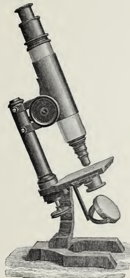 A picture containing gear
Description automatically generated