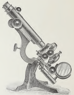 A close-up of a saxophone
Description automatically generated with low confidence