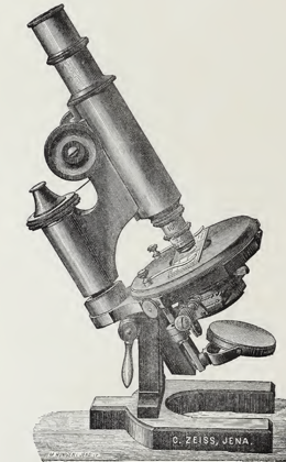 A picture containing old
Description automatically generated