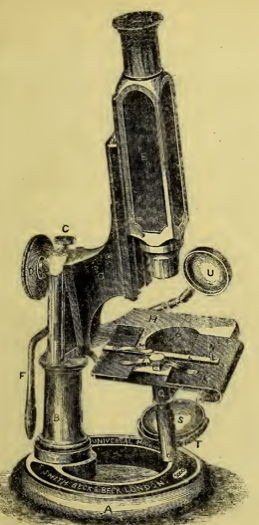 A picture containing wall, indoor, old
Description automatically generated