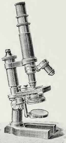 A picture containing indoor
Description automatically generated