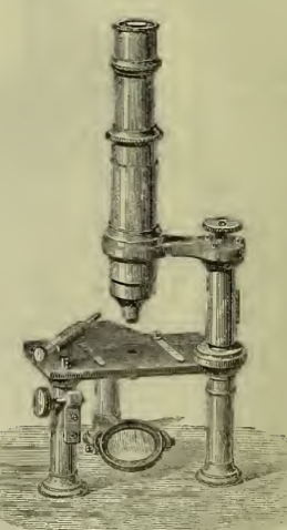 A picture containing indoor, wall, old
Description automatically generated