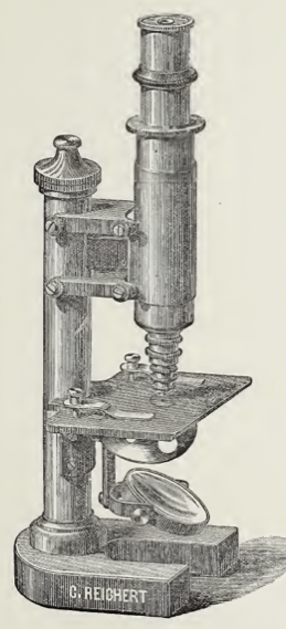A picture containing wall, old
Description automatically generated