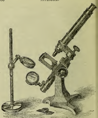 A picture containing text
Description automatically generated
