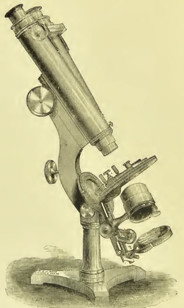 A picture containing gear
Description automatically generated