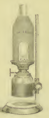 A picture containing wall, indoor, bell jar
Description automatically generated