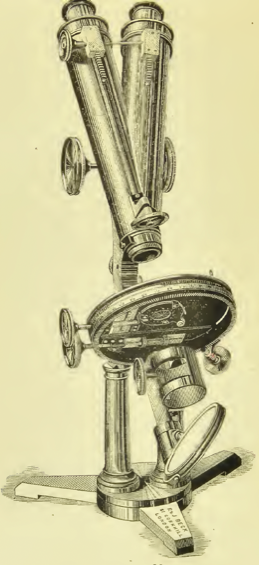 A picture containing text, wall, old
Description automatically generated
