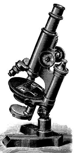 Microscope In 1900 A close-up of a microscopeDescription automatically generated with ...