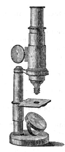 James Queen (1870)