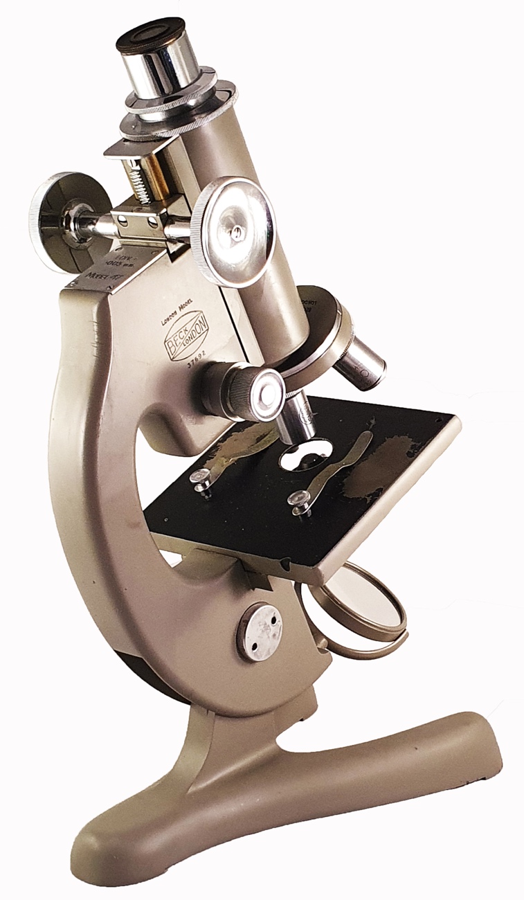 Beck Star Microscope Microscope 216 (R & J Beck ; microscope model 47B; 1950s)