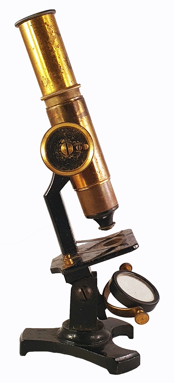 Microscope 272 ( assigned to Deyrolle; c . 1900)
