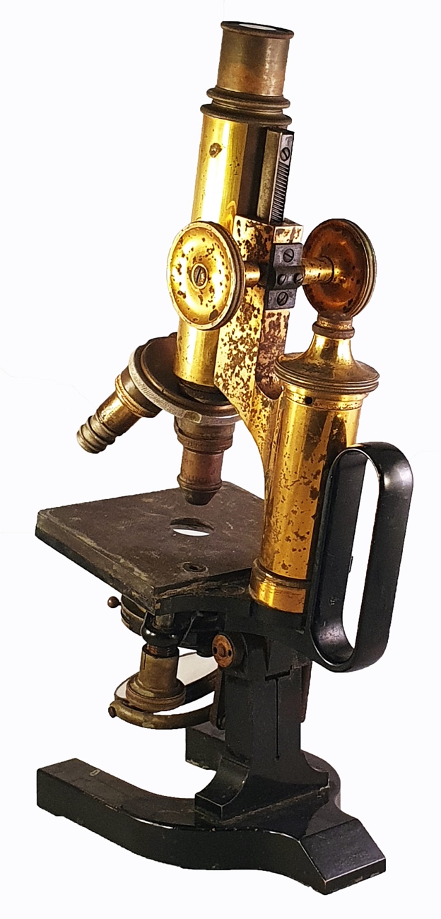 Microscope 273 (Carl Reichert; medium stand III microscope; c. 1907)