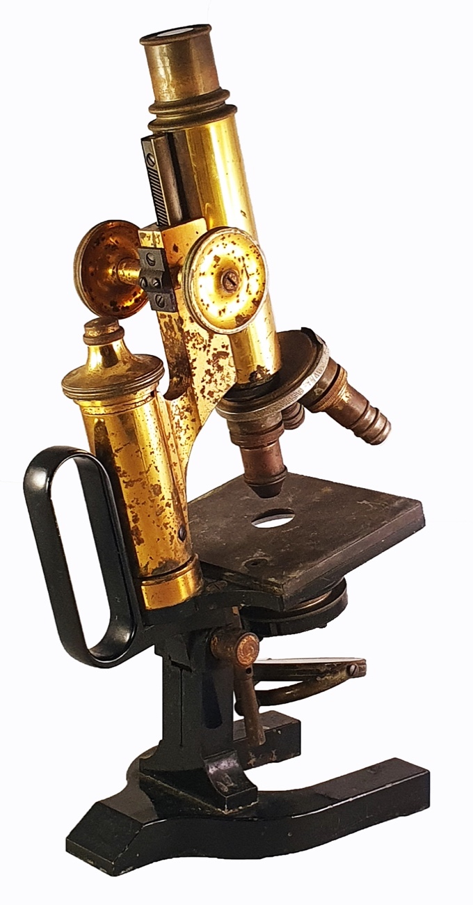 Microscope 273 (Carl Reichert; medium stand III microscope; c. 1907)