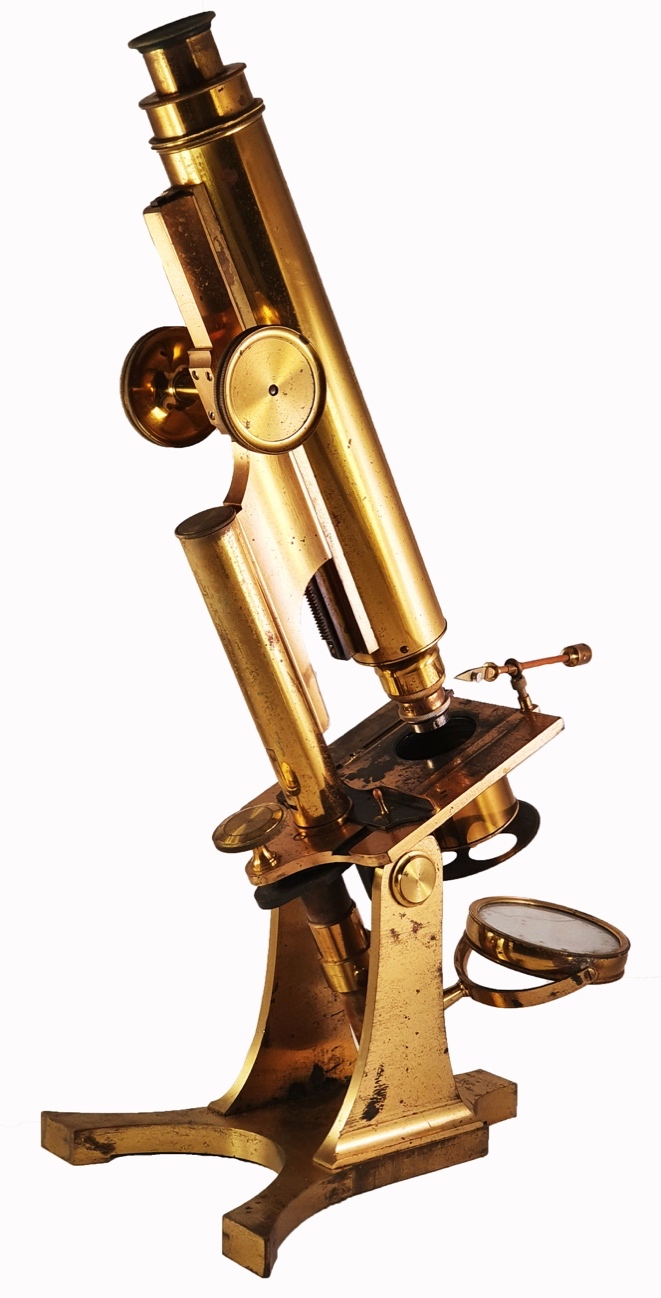 Microscope 304 (R & J Beck; student’s microscope; c. 1873)
