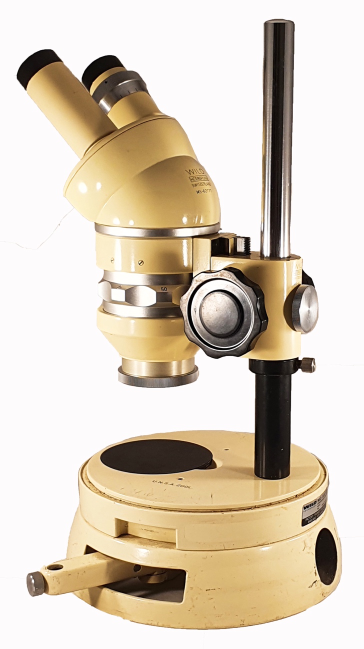 A close-up of a microscopeDescription automatically generated