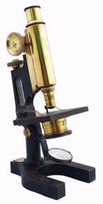 A picture containing table, sitting, front
Description automatically generated