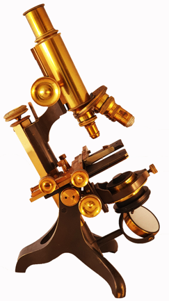 A picture containing table, sitting, person, plate
Description automatically generated