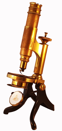 A picture containing table, banana, old, kitchen
Description automatically generated