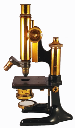 A picture containing object, table, desk, front
Description automatically generated