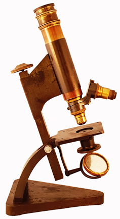 A wooden table
Description automatically generated