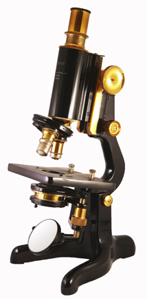 A picture containing table, small, sitting, holding
Description automatically generated