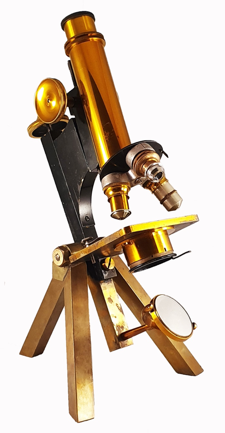 A picture containing table, wooden, person
Description automatically generated