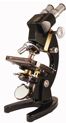 A picture containing motorcycle, small, person, sitting
Description automatically generated