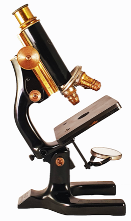 A picture containing table, sitting, small, person
Description automatically generated