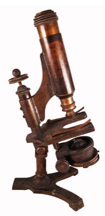 A close - up of a gavel
Description automatically generated with low confidence