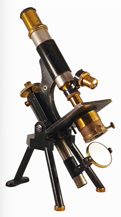 A picture containing table, person, wooden, kitchen
Description automatically generated