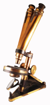 A picture containing indoor
Description automatically generated