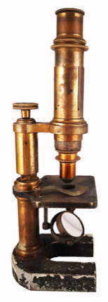 A close - up of a gavel
Description automatically generated with low confidence