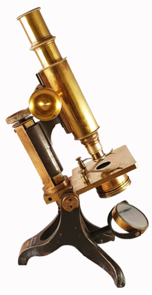 A close-up of a gavel
Description automatically generated with medium confidence