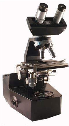 A picture containing wall, microscope, indoor
Description automatically generated